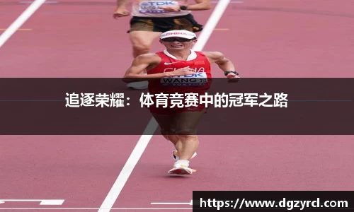 体育6686